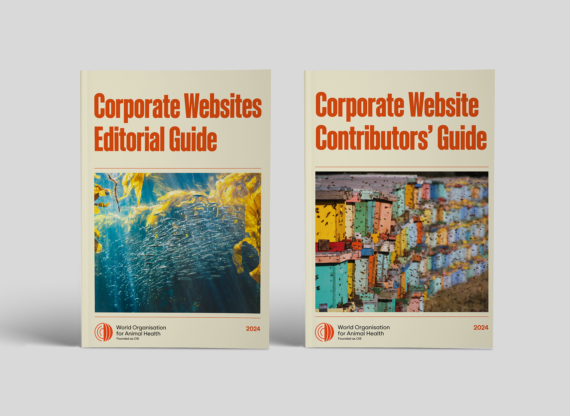 OMSA refonte site web | Animal pensant