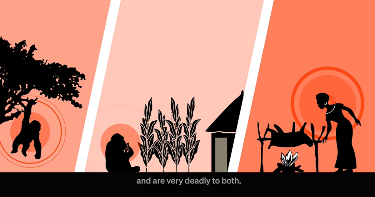 Motion Design on Community Engagement | Animal Pensant