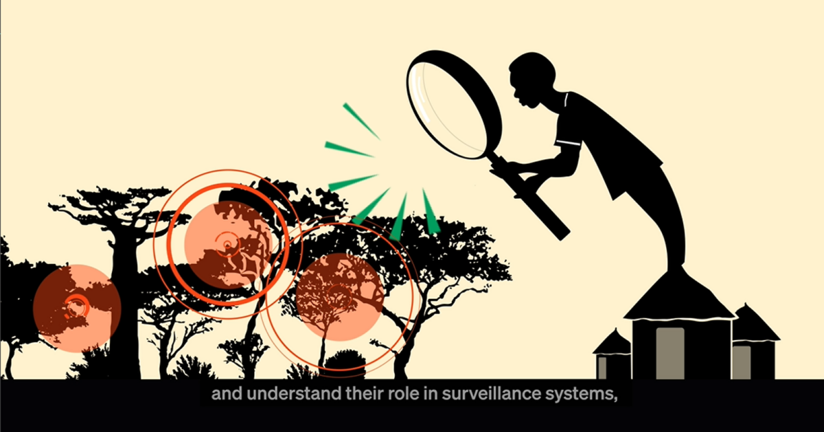 Motion Design on Community Engagement | Animal Pensant
