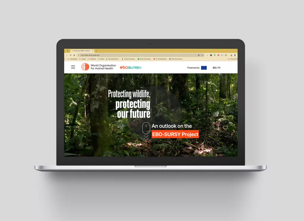 Telling the story of the EBO-SURSY project through scrolling