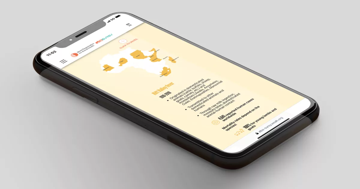 Telling the story of the EBO-SURSY project through scrolling