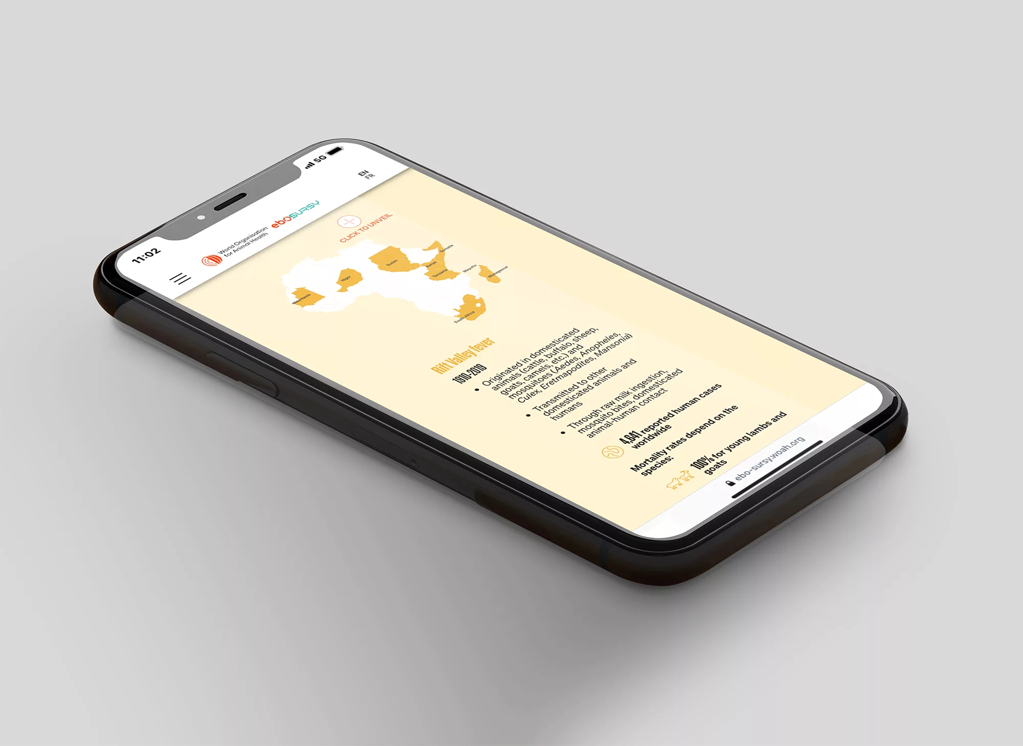 Telling the story of the EBO-SURSY project through scrolling