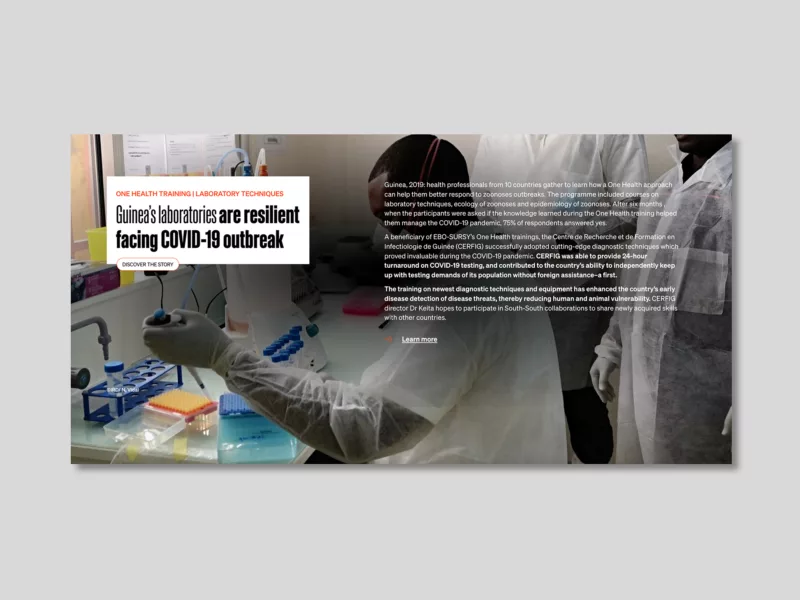 Telling the story of the EBO-SURSY project through scrolling