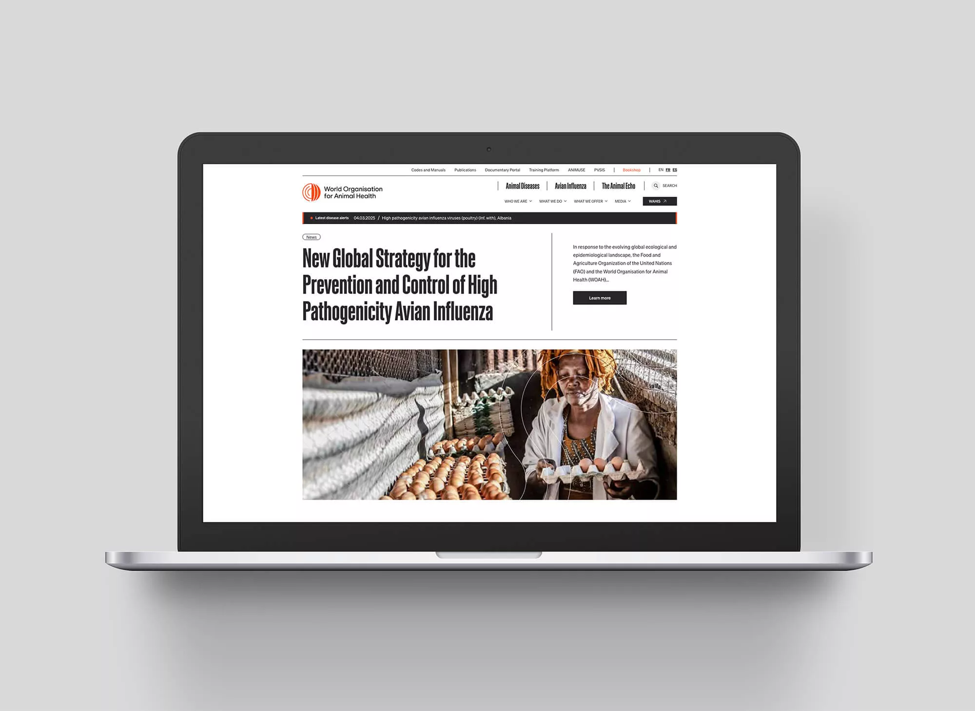 site-web-woah-animalpensant