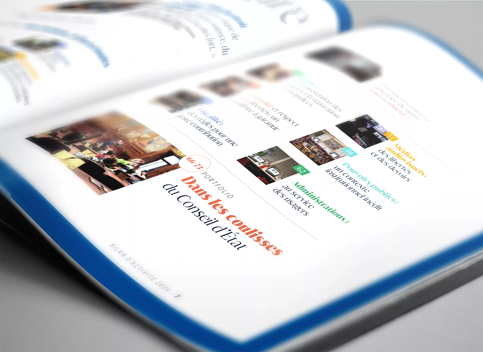 bilan-annuel-2024-animal-pensant-conseil-etat-1