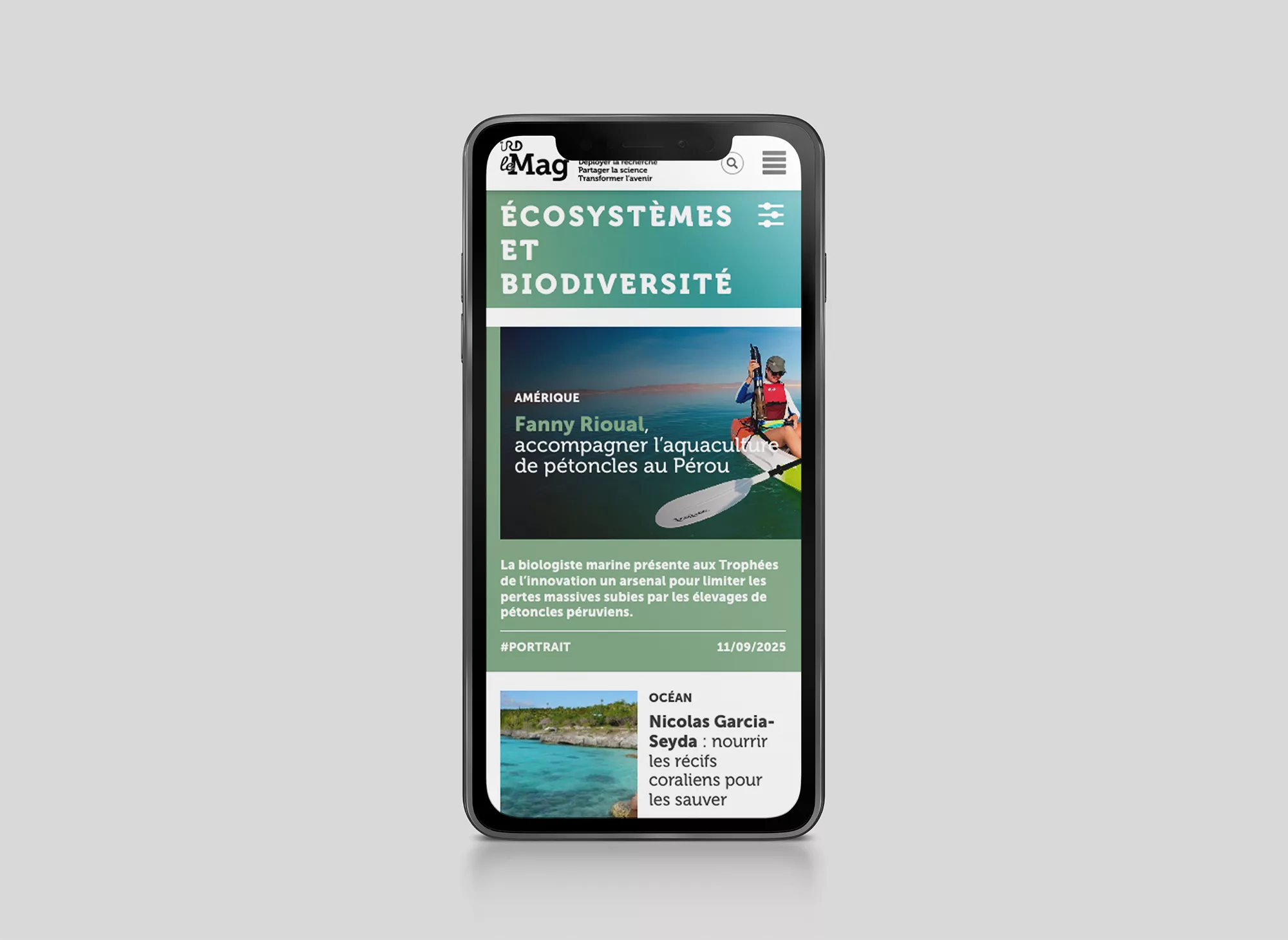 ird-lemag-animal-pensant-ird-5