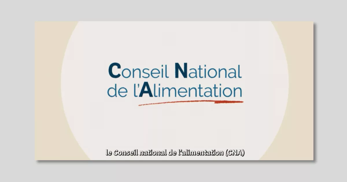 motion-design-cna-2024-animal-pensant