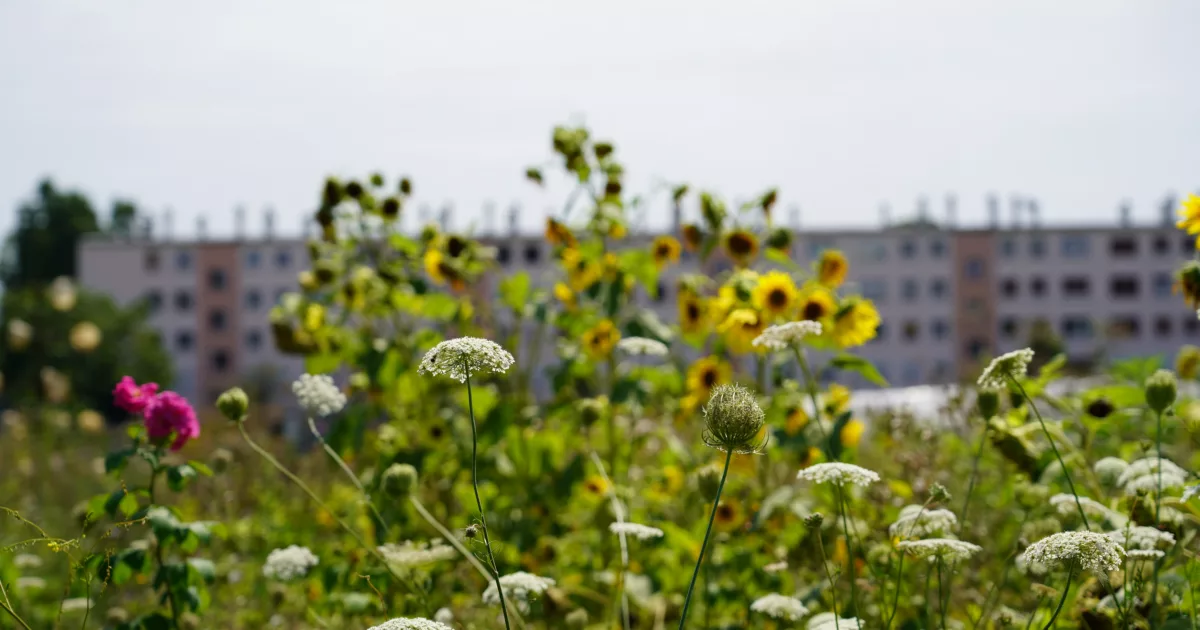 Jardins ouverts Île-de-France