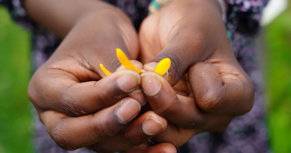 Jardins ouverts Île-de-France