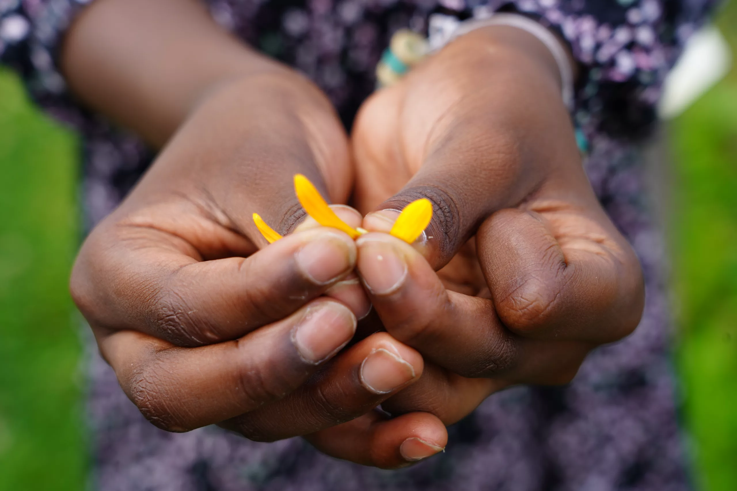 Jardins ouverts Île-de-France
